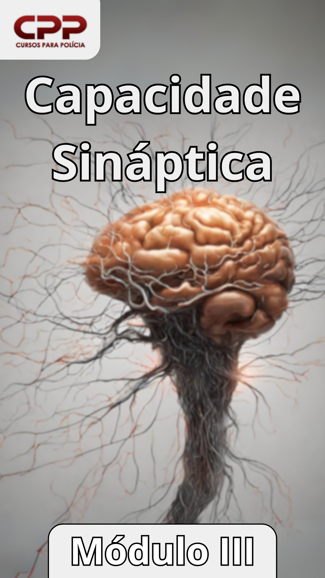 Mod 3 - Capacidade Sináptica